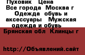 Пуховик › Цена ­ 2 000 - Все города, Москва г. Одежда, обувь и аксессуары » Мужская одежда и обувь   . Брянская обл.,Клинцы г.